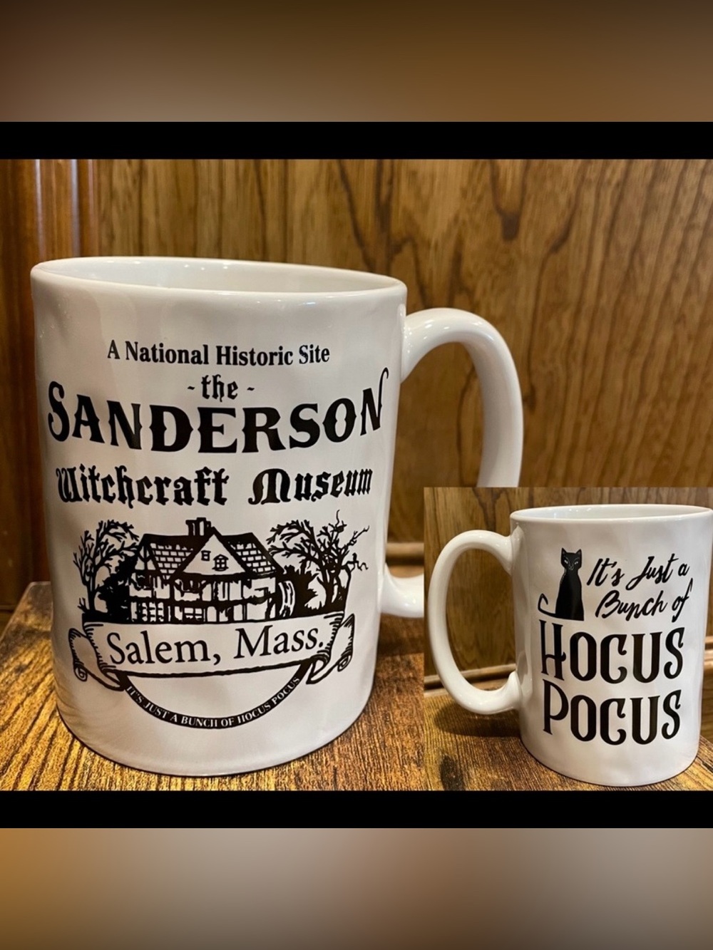 Disney Sanderson Sisters Witchcraft Museum  & Binx Two Sided Ceramic Mug NEW!!